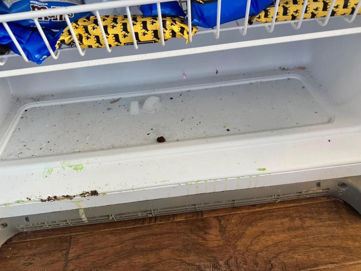Refrigerator interior with crumbs, spills and food residue across the shelves
