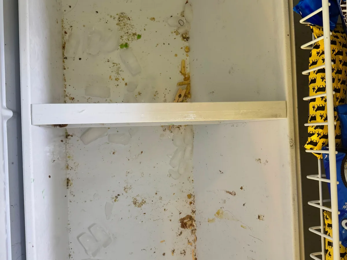 Kitchen sink with dishes and food residue built up around the basin